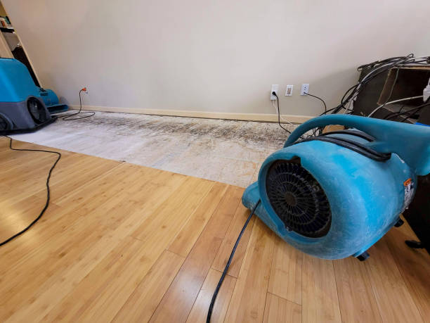 Professional Water Damage Repair technician working in Sadsburyville, PA